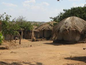 Typical village structures.